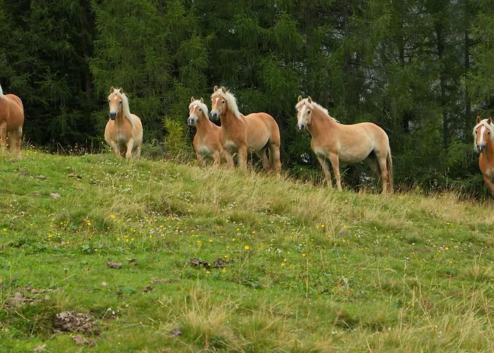 Hotel Bergresort Jochelius Ski-in & Ski-out Nauders